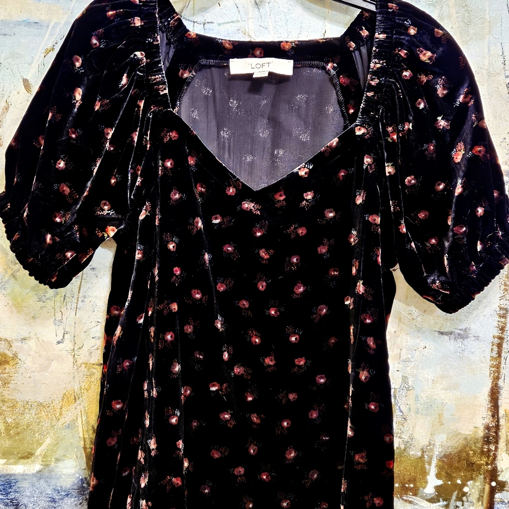 Loft Floral Velvet Puff Sleeve  Sweetheart Neckline Top Black with Red Flower XS